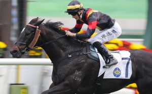 Harry Bentley rides Nimble Nimbus to victory. Photo: Kenneth Chan