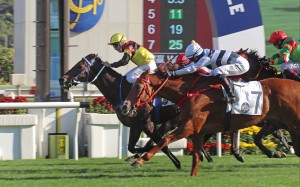 Zebrowski wins the Centenary Vase under Matthew Poon at Sha Tin on Sunday. Photo: HKJC