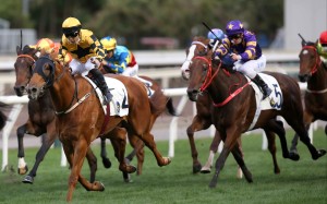 Flying Ace salutes under Matthew Poon at Sha Tin on Thursday. Photos: HKJC