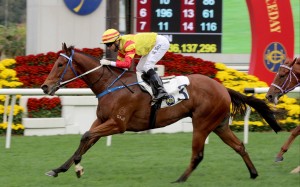 Joao Moreira partners Galaxy Witness to victory at Sha Tin. Photo: HKJC