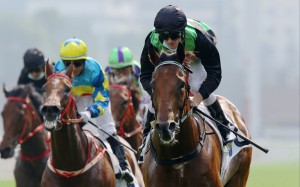 Nervous Witness wins at Sha Tin in October under Zac Purton. Photo: Kenneth Chan.