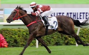 Sight Spirit comes home clear of the field under Joao Moreira at Sha Tin in December. Photo: Kenneth Chan