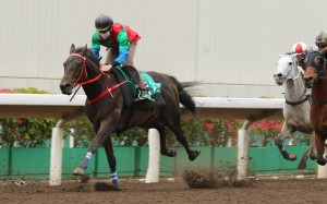 Derek Leung partners Money Catcher in a trial at Sha Tin on Tuesday morning. Photo: Kenneth Chan.