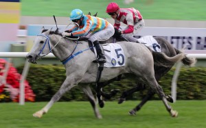Senor Toba wins his last start at Sha Tin under Joao Moreira. Photo: Kenneth Chan.