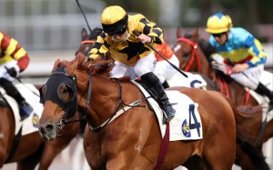 Flying Ace salutes under Matthew Poon. Photo: HKJC