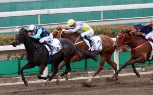Will Power beats home Red Desert (right) and Californiadeepshot to win the Class One Cornflower Handicap at Sha Tin. Photo: HKJC