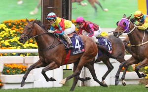 Wellington will not have any overseas raiders to overcome when he chases more Group One success on Champions Day. Photo: HKJC