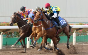 Computer Patch (right) wins a recent barrier trial and makes his first start for Jimmy Ting on Saturday. Photo: Kenneth Chan