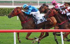 Master Eight wins the Bauhinia Sprint Trophy under Joao Moreira at Sha Tin in January. Photo: Kenneth Chan