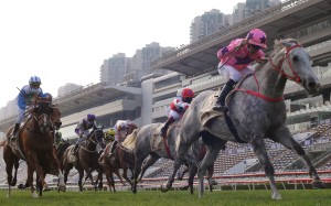Hot King Prawn wins the 2021 Centenary Sprint Cup under Joao Moreira. Photo: Kenneth Chan