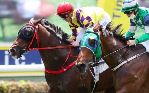 Champion’s Way holds off Cheerful Days to win the Class One Nam Wan Handicap (1,600m) at Sha Tin. Photo: HKJC