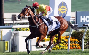 California Spangle wins the Classic Cup under Zac Purton last month. Photo: HKJC
