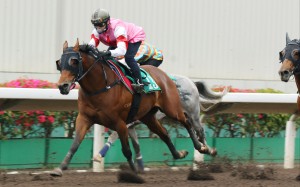 Turin Redsun trials at Sha Tin and his trainer Douglas Whyte is sure he’ll run well in the Hong Kong Derby. Photo: Kenneth Chan