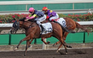 Apache Pass wins his second dirt race at Sha Tin. Photo: HKJC