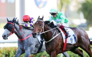 Buzzinga (outside) fights off Brilliant Way to win at Sha Tin on Sunday. Photo: HKJC