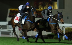 Zebrowski (left) and Columbus County are now back in Hong Kong. Photo: Kenneth Chan