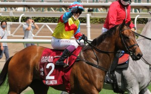 Alexis Badel celebrates winning the Chairman’s Sprint Prize for the second time on Wellington. Photo: Kenneth Chan