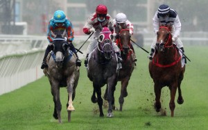 Senor Toba (left) wins the Queen Mother Memorial Cup at Sha Tin on Sunday. Photos: Kenneth Chan