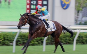 Fantastic Treasure salutes at Sha Tin. Photo: Kenneth Chan
