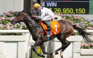 Golden Sixty wins the Champions Mile last month. Photos: Kenneth Chan