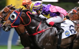 Everyone’s Delight just gets the better of Soulmate at Happy Valley on Wednesday night. Photo: Kenneth Chan