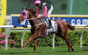 Beauty Joy wins the Lion Rock Trophy under Zac Purton at Sha Tin on Sunday. Photo: Kenneth Chan 