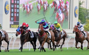 Winning Dreamer (purple and blue silks) salutes at Sha Tin. Photo: Kenneth Chan
