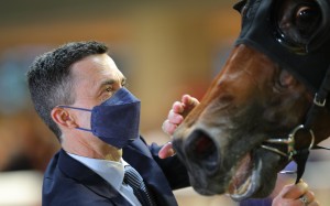 Trainer Douglas Whyte. Photo: Kenneth Chan