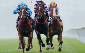 Master Eight (left) salutes at Sha Tin earlier this season. Photos: Kenneth Chan