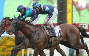 Duke Wai gets the better of Winning Dreamer at Sha Tin on Friday. Photos: Kenneth Chan