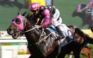 Beauty Charge runs out an impressive winner at Sha Tin. Photos: Kenneth Chan
