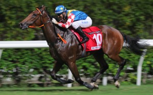 Telecom Fighters wins at Class Two level at Happy Valley in October. Photos: Kenneth Chan