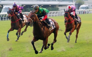 Codyceps Six trials under Alexis Badel at Happy Valley on Saturday. Photos: Kenneth Chan