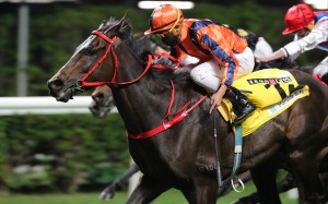 Vincent Ho posts his sixth win from nine rides aboard Frankie Lor-trained Happy Valley specialist Fa Fa on December 8. Photos: Kenneth Chan