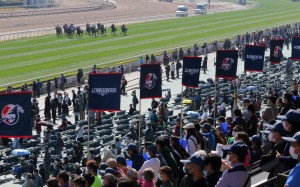 Jockey Club promises to ‘put a good show up’, with Hong Kong International Races to benefit from scrapping of quarantine