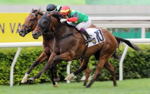 National Day Cup contender Cordyceps Six ticks every box for Sha Tin feature