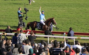 Christophe Soumillon celebrates his Hong Kong Mile win aboard Admire Mars. Photos: Kenneth Chan