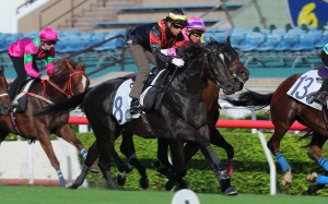 Derek Leung partners Nimble Nimbus in a trial. Photos: Kenneth Chan