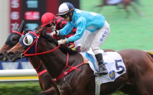 All For St Paul’s under Matthew Chadwick defeats Bourbonaire (pictured) and previously unbeaten Galaxy Witness (third) at Sha Tin on June 12. Photos: Kenneth Chan.