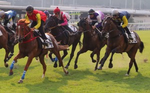 Jamie Richards-trained import Starfire Gems (outside) trials at Happy Valley under champion jockey Zac Purton ahead of his Hong Kong debut on Wednesday night. Photos: Kenneth Chan