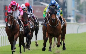 Lucky Patch (blue colours) wins the 2021 Premier Bowl at Sha Tin under Zac Purton. Photo: Kenneth Chan