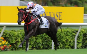 Courier Wonder wins last year’s Sha Tin Vase. Photos: Kenneth Chan