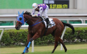Untold Riches salutes under Keith Yeung at Sha Tin on Sunday. Photo: Kenneth Chan