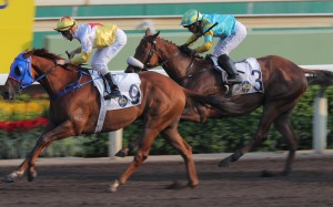 On his first start in 511 days after enduring numerous setbacks, Maximus finishes runner-up to Man Star at Sha Tin on October 9. Photo: Kenneth Chan