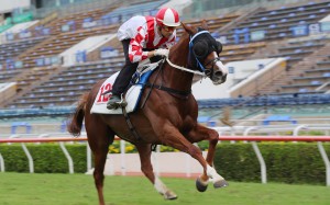 Hong Kong maiden Amazing News gallops under Joao Moreira at Sha Tin. Photo: Kenneth Chan
