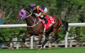 Whizz Kid surges to victory under Zac Purton on Wednesday night. Photo: Kenneth Chan