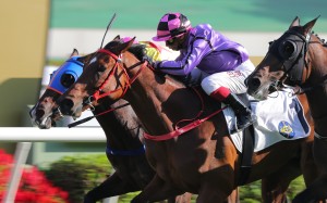 Alexis Badel drives Sweet Encounter to victory at Sha Tin on October 16. Photo: Kenneth Chan