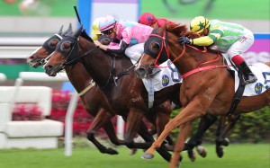 Beluga (pink and blue colours) salutes under Zac Purton at Sha Tin on Saturday. Photos: Kenneth Chan