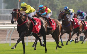 Lucky Sweynesse wins the Group Two BOCHK Private Banking Jockey Club Sprint under Zac Purton at Sha Tin. Photos: Kenneth Chan