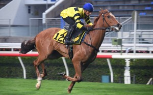 Karis Teetan puts Dragon Star through his paces at Sha Tin on Tuesday morning. Photos: Kenneth Chan